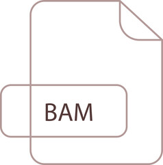 BAM File extension icon RAW thicker outline