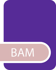 BAM File format icon with contour