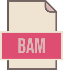 BAM File icon fill and outline crisp corners