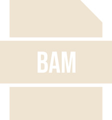 BAM icon crisp corner with transparent center