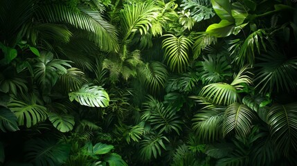 Fototapeta premium Professional rainforest texture background, dense flora, vibrant greenery, showcasing the rich diversity of tropical nature, suitable for environmental and nature themed design.