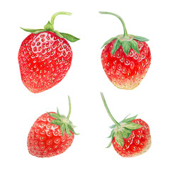 Red strawberry hand drawn watercolor illustration. Delicious food art, fresh botanical realistic painting. Summer sweet berry clipart for restaurant, cafe menu, packaging of farm goods, vegan products