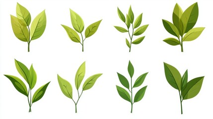 Eco green icons. Nature icon set. Vector.