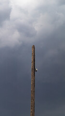A wooden electric pole on the background of a gray sky covered with clouds