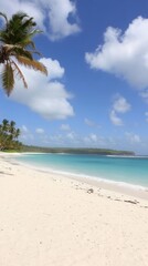 Tropical Island Paradise: An Enchanting Beach Scene with Turquoise Waters and Coconut Palms