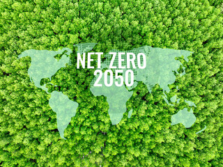 Net Zero target for 2050. Business strategy for reducing greenhouse gas emissions. Climate...