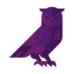 owl illustration