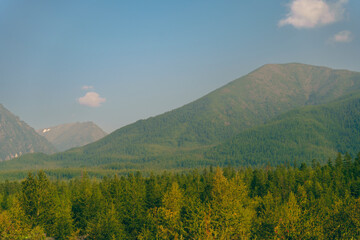 Fototapeta premium Landscape of green forest and mountains under blue sky
