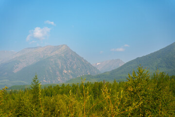 Landscape of green forest and mountains under blue sky