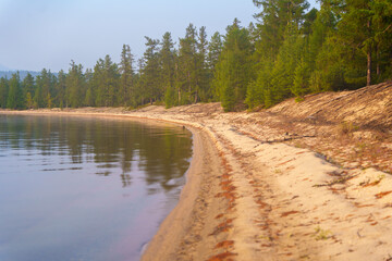 Sandy shoreline of a calm lake with pine forest