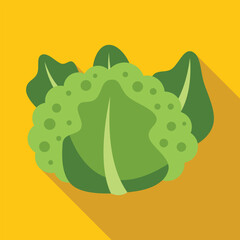 Green cabbage vegetable icon in flat style with long shadow on a yellow background
