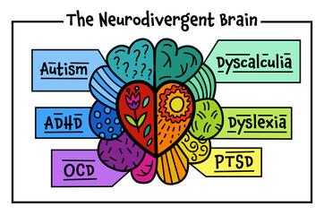 Minds of all kinds. Human mind, experience diversity.