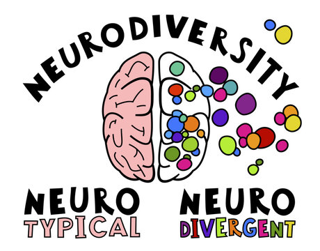 Neurotypical and neurodivergent brains. Human mind, experience diversity.