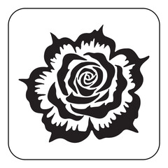 Vintage Flower Design with Classic Botanical Illustrations
