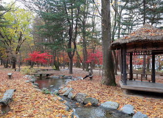 Chuncheon-si, Gangwon-do, South Korea - November 10, 2021: Autumnal view of a female sitting on...