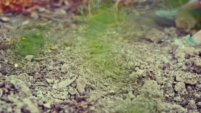 Old peasant woman hoeing the soil in her garden