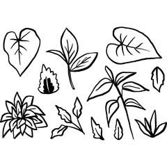 black and white floral leafs