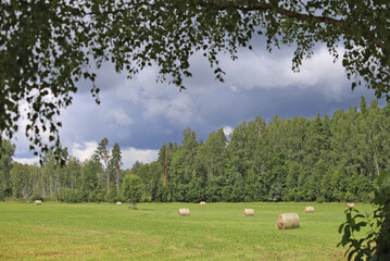 There are rolls of hay lying on a green field.