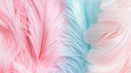 Obraz premium Feather texture, pastel color fusion, soft and delicate, watercolor style