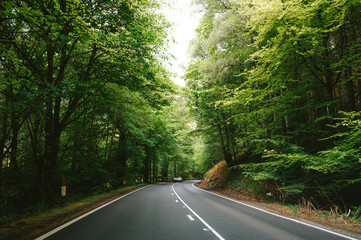 Obraz premium scottish road