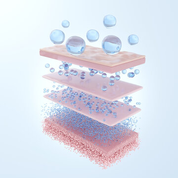 Diverse hyaluronic acid types in every skin layer. 3D rendering