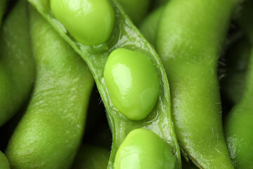 Fresh edamame pods with soybeans as background, closeup