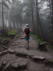 Hiker is enjoying the tranquility of a misty forest path in the tatra mountains, Tatra National park , Poland