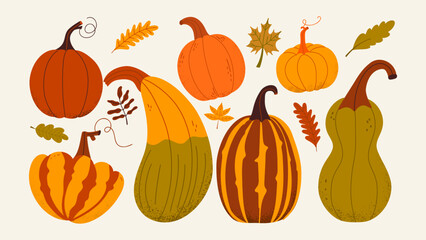 Cozy pumpkin and zucchini set. Thanksgiving Day,  and Halloween season. Autumn set with cute hand draw design elements. Fall design collection.