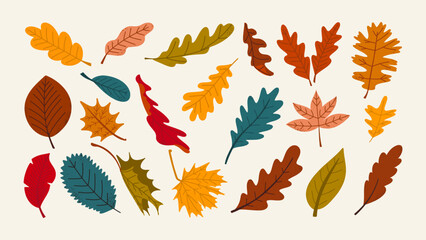 Autumn hand-drawn various colorful leaves set. Fall decorative design vector elements. Trendy seasonal illustration.