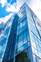 Obraz premium Modern glass skyscraper with tree reflection in windows