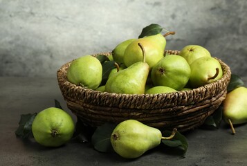 Many fresh ripe pears on grey table