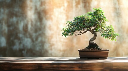 Bonsai Tree on Wooden Table - Powered by Adobe