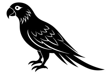 Parrot vector art silhouette illustration