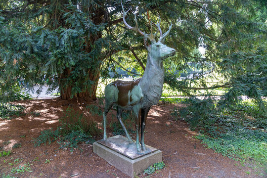 Zurich, Switzerland - July 17, 2024: Bronze deer sculpture at Platzspitz Park at City of Z&uuml;rich Switzerland
