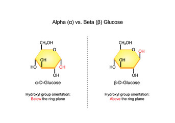 Alpha versus Beta Glucose. Stereoisomers. Chemical structure. Chemistry. scientific vector illustration.