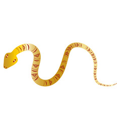 Snake Chinese New Year 2025. Gold, Floral Ornament