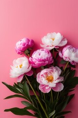 Obraz premium A pink and white flower arrangement is on a pink background