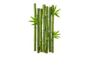 Fototapeta premium Green bamboo with leaves isolated on transparent background with clipping path and full depth of field 