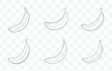 Obraz premium Print Banana Line Art Vector Set with Detailed Illustrations of Bananas in Various Styles and Poses