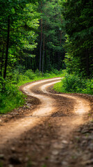 A winding dirt road through a lush green forest, surrounded by tall trees and rich foliage, leading into the tranquil wilderness.