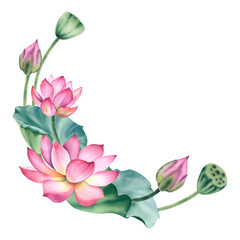 Watercolor pink lotuses on a white background. Water lilies are hand painted. A composition with a lotus. A template for the design of postcards. A bundle for the clipart of spa salons and zen design © Marina