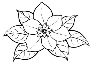 Jasmine flower line art vector silhouette