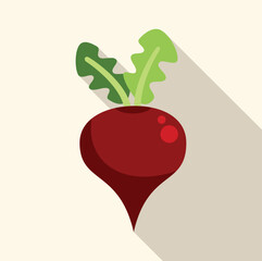 Beetroot with two leaves is casting a long shadow in this flat design illustration
