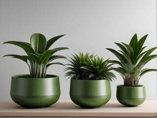 Obraz premium Elegant Green Potted Plants: Perfect for Modern and Stylish Interiors