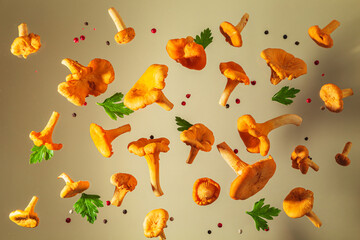 Naklejka premium Raw fresh chanterelle mushrooms on beige background.
