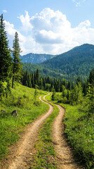 Obraz premium Scenic mountain path winding through lush green forest under a partly cloudy sky, with distant peaks in the background.