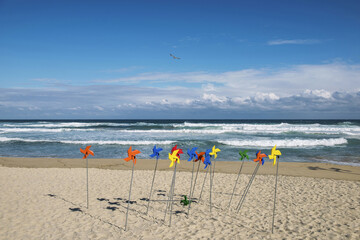 Seaside view of pinwheels on sand with the background of waves of the sea at Daejin Beach near Donghae-si, South Korea 