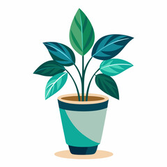 office plant in pot on white background