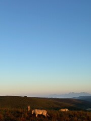 sunset in the mountains