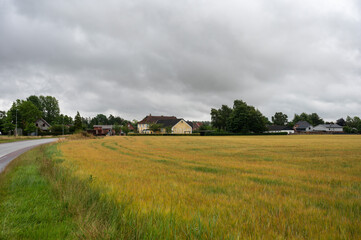 Lonely road through the agriculture fields at the Danish countryside around Maribo, Denmark